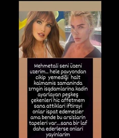 Seda Sayan ifşa etti Mehmet Ali Erbil hizmetliye tecavüz iddiası için konuştu - Resim: 3