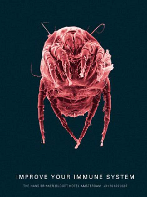 İşte dünyanın en pis oteli - Resim: 4