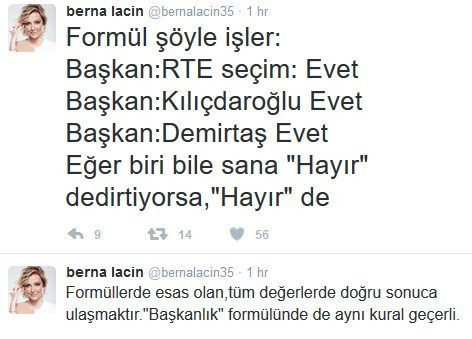 Berna Laçin Başkanlık formülünü açıkladı! Sosyal medya karıştı - Resim: 4