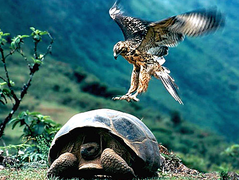 Tam o anda çekilen fotoğraflar - Resim: 1