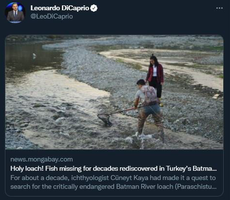 Leonardo DiCaprio'nun Türkiye paylaşımı heyecan yarattı - Resim: 1