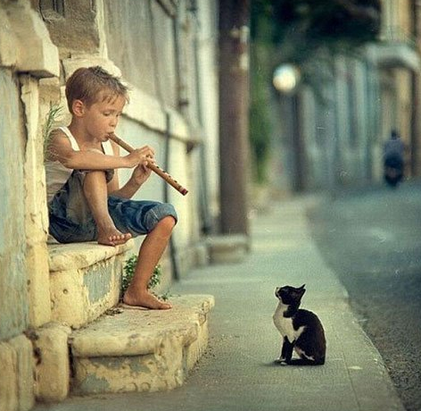 Yok artık daha neler - Resim: 4