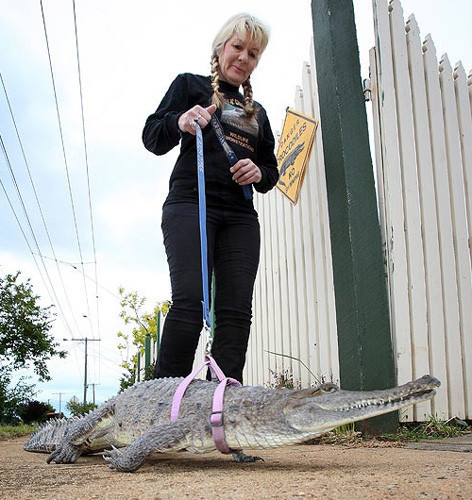 Sıradışı evcil hayvanlar - Resim: 1