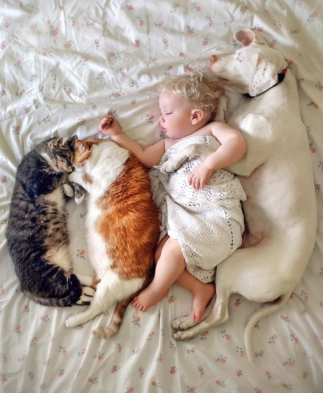 Dünya kalpleri ısıtan dostluğu konuşuyor - Resim: 2