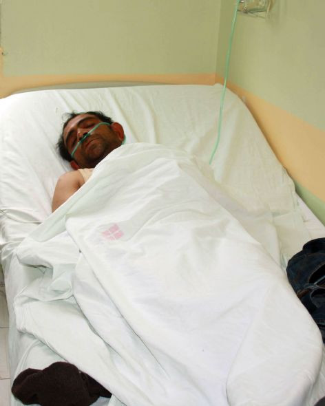 Arılar karayoluna saçıldı  - Resim: 1