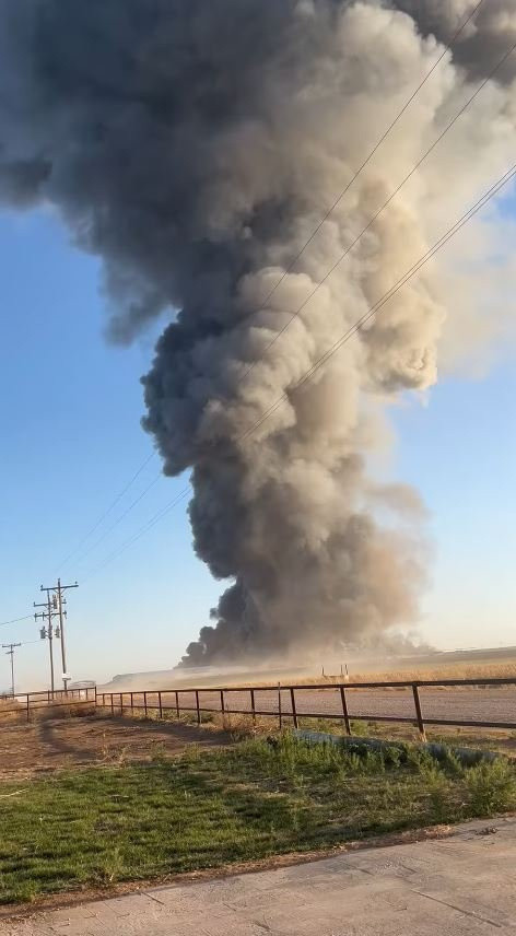 Dev mandırada korkunç yangın: 18 bin inek telef oldu - Resim: 0