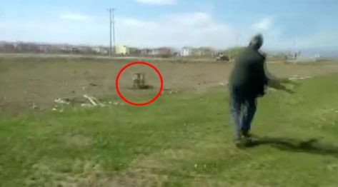 Antalya'dan sonra şimdi de Afyon'da görüldü! Hemen zabıtaya haber verdiler - Resim: 1