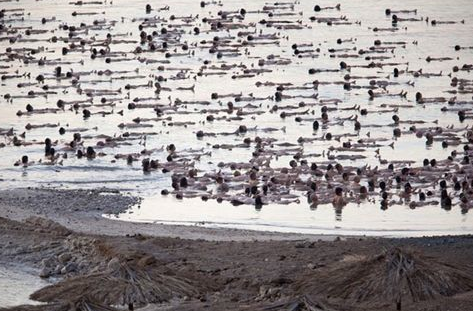 İsrail'i karıştıran görüntüler! - Resim: 2