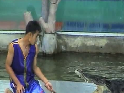 Dev timsah bakıcının kolunu kaptı! - Resim: 3