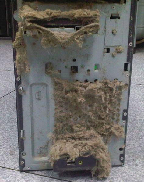 Bilgisayarlarda biriken kirlere dikkat! - Resim: 1