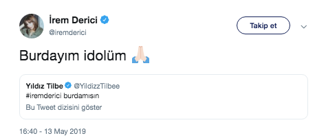 Sahne ücretlerini paylaşmıştı! Yıldız Tilbe bu sefer Twitter'dan İrem Derici'ye şarkı verdi! - Resim: 3