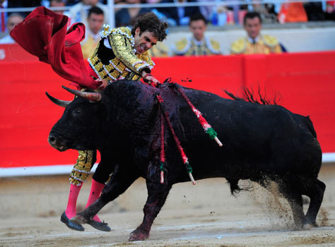 Bu vahşet son kez sergilendi - Resim: 1