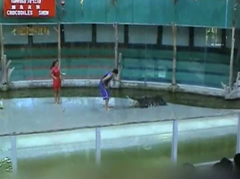 Dev timsah bakıcının kolunu kaptı! - Resim: 1