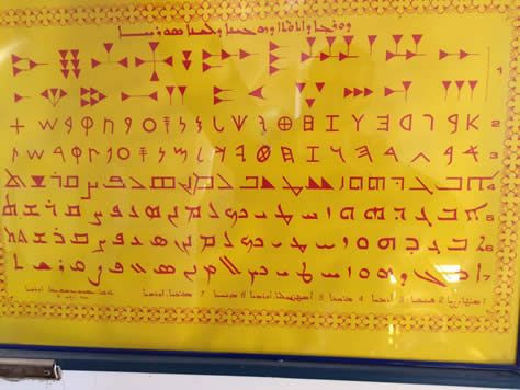 Dünya dillerinin yüzde 40 yok olacak - Resim: 4
