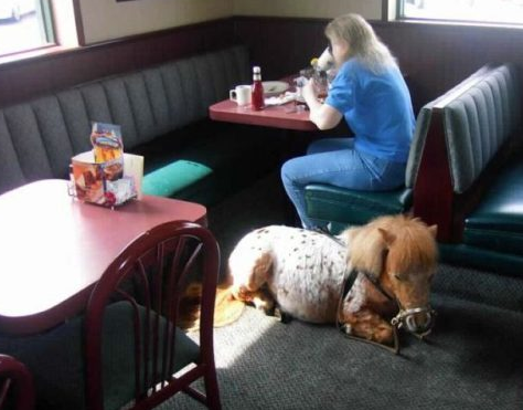 Günün tıklanma rekoru kıran kareleri - Resim: 3