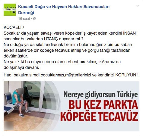 İzmit'te köpeğe tecavüz! - Resim: 3