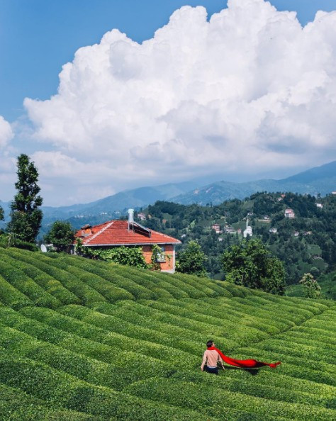 Dünyaca ünlü bloger Türkiye'yi işte böyle tanıttı - Resim: 3