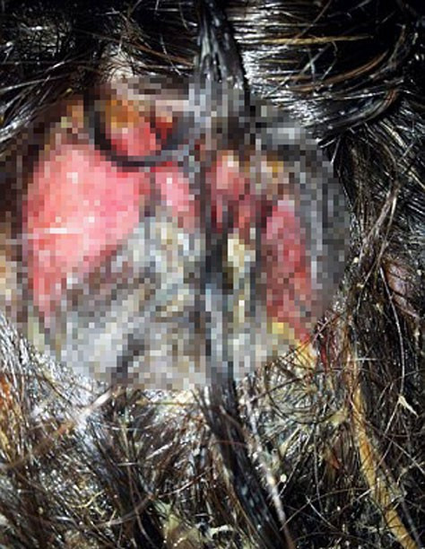 Kuaför hatası bakın ne yaptı korkunç! - Resim: 2