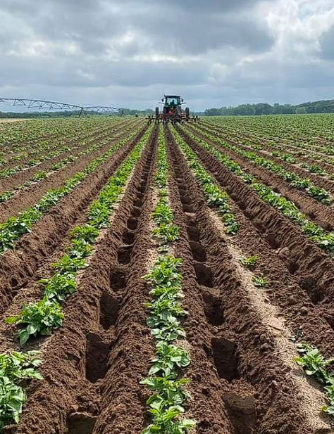 "Türkiye’den arazi aldı" denilmişti! Bill Gates hakkında çarpıcı iddia - Resim: 4