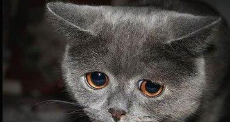 Haftanın tık rekoru kıran en komikleri! - Resim: 2