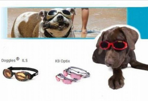 En gereksiz icatlar - Resim: 1