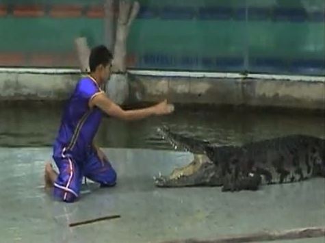 Dev timsah bakıcının kolunu kaptı! - Resim: 4