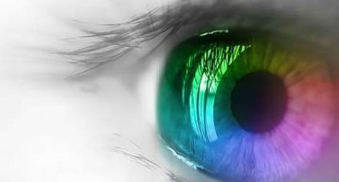 2050 'ye kadar hayatımızdan yok olacaklar - Resim: 1