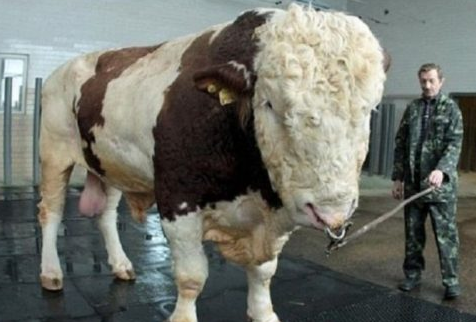 Günün en çok tıklanan fotoğrafları - Resim: 4