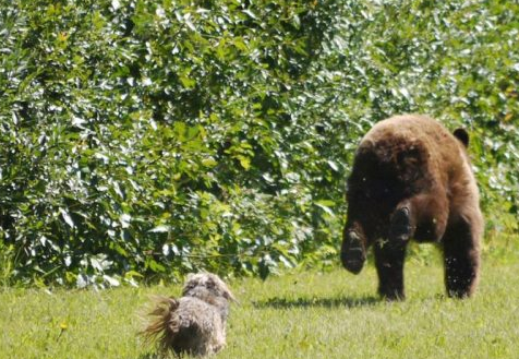 Günün en çok tıklananları - Resim: 3