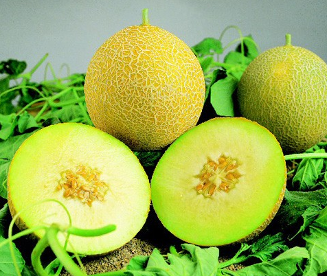 Kavun deyip geçmeyin! - Resim: 3