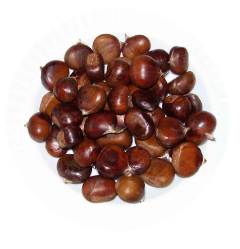 Kestane cinsel gücü arttırmada birebir - Resim: 1