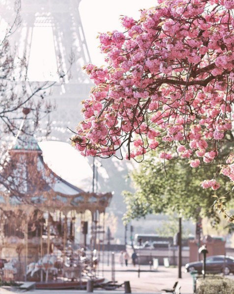 Dünyanın en güzel yerleri bunlar! Türkiye'den nereler var - Resim: 3