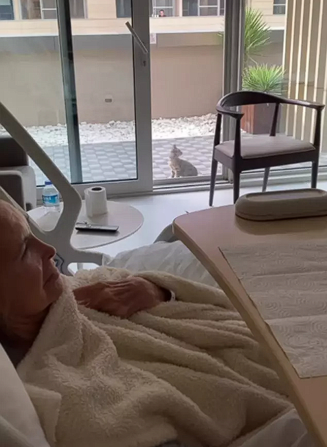 Yeşilçam'ın yıldızı Filiz Akın'dan üzen haber! - Resim: 0