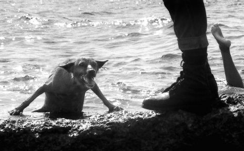 İşte günün en saçma fotoğrafları! - Resim: 3