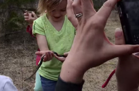 Yılanların dehsete düşüren göçü! - Resim: 3