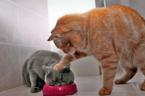 Günün tık rekoru kıran bomba kareleri - Resim: 4