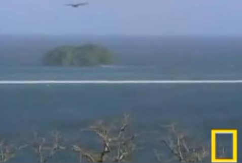 Kartal saniye saniye avını böyle yakaladı - Resim: 2