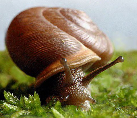 Hayatın içinden hiç bilmediğiniz gerçekler - Resim: 2