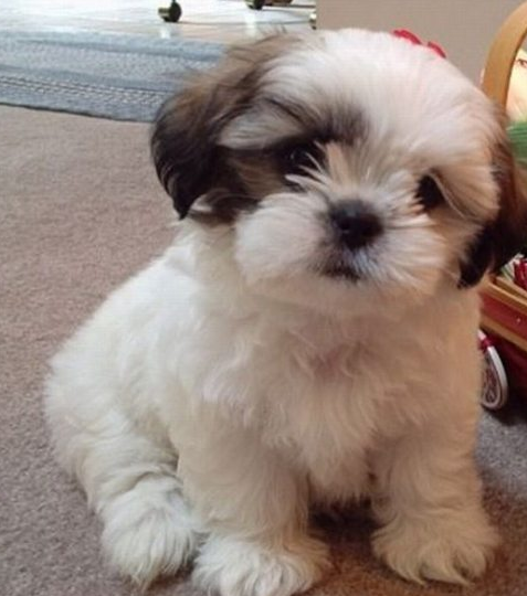 Dünyadan tık rekoru kıran fotoğraflar! - Resim: 2