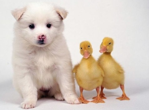 Objektiflere böyle yakalandılar! - Resim: 2