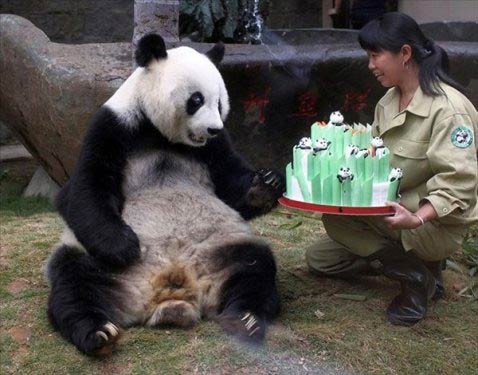 Gülme krizine sokan fotoğraflar - Resim: 3