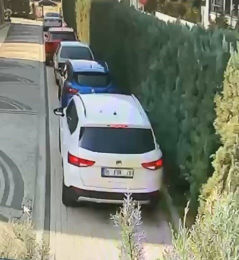 Bursa'da köpeği ezen sürücü pes dedirtti! Aracını park edip evine gitti - Resim: 2