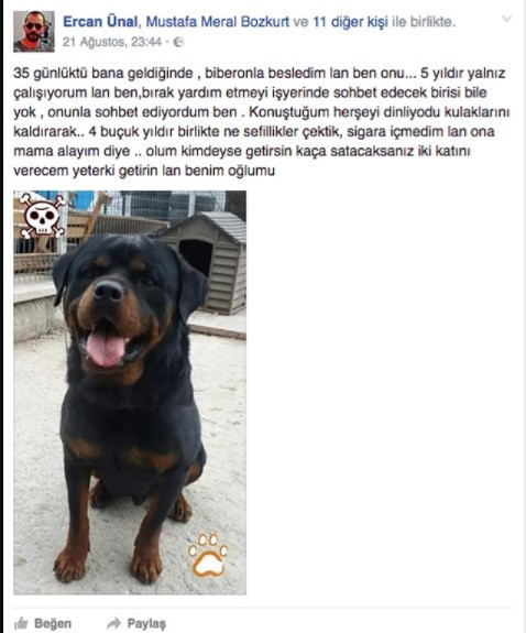 Dostu Pascal için seferber olmuştu hayatını kaybetti - Resim: 2