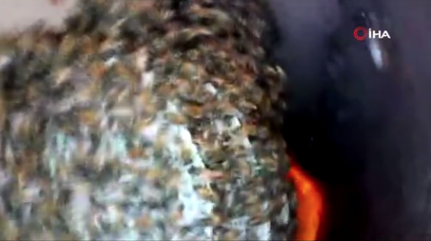 Kazayla su borusunu kırdı! İçinden çıkanlar şaşkına çevirdi - Resim: 3