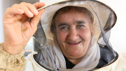 Vanlı kadın arıcılar organik bal hasadını yaptı