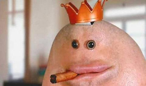 İnternetin en çılgın 100 karesi - Resim: 1