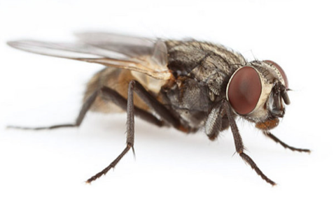 Bu bilgilere çok şaşıracaksınız! - Resim: 2