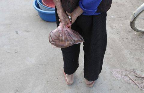 Fareleri afiyetle yiyorlar - Resim: 2