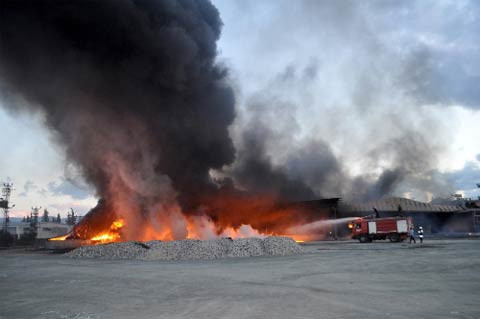 Paketleme fabrikası 1 saatte kül oldu - Resim: 3