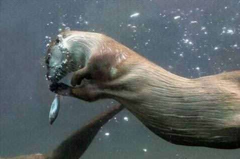 İnternetin tık rekoru kıran fotoğrafları - Resim: 4